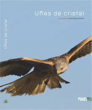 Uñas de Cristal