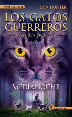 Medianoche