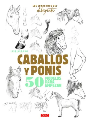 Los Cuadernos del Dibujante. Caballos y Ponis