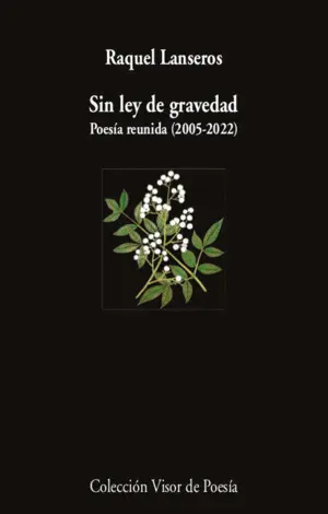 Sin Ley de Gravedad