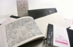 Poesía (Modelo para Romper