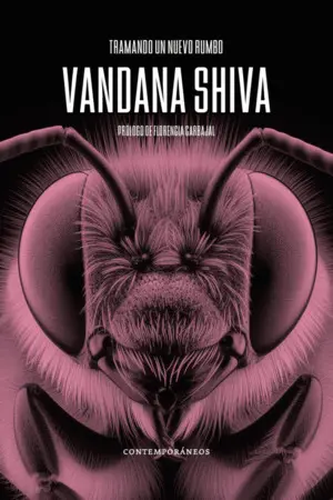 Tramando un Nuevo Rumbo. Estrategias de Transición