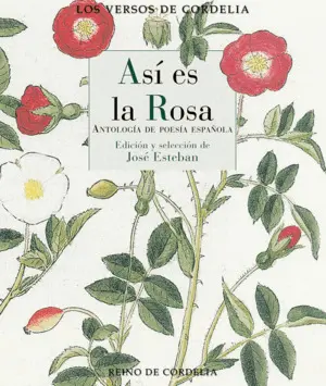 Asi Es la Rosa