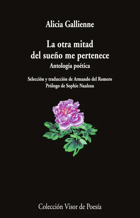 La Otra Mitad del Sueño me Pertenece