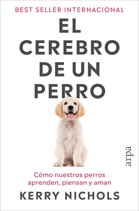 El Cerebro de un Perro