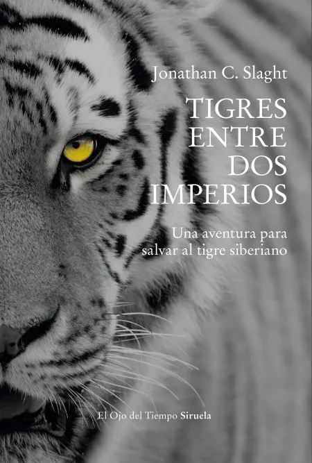 Tigres entre Dos Imperios