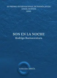 Son en la Noche