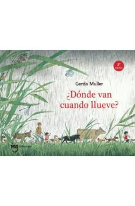 ¿Dónde Van Cuando Llueve?
