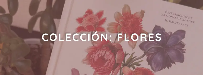 Flores